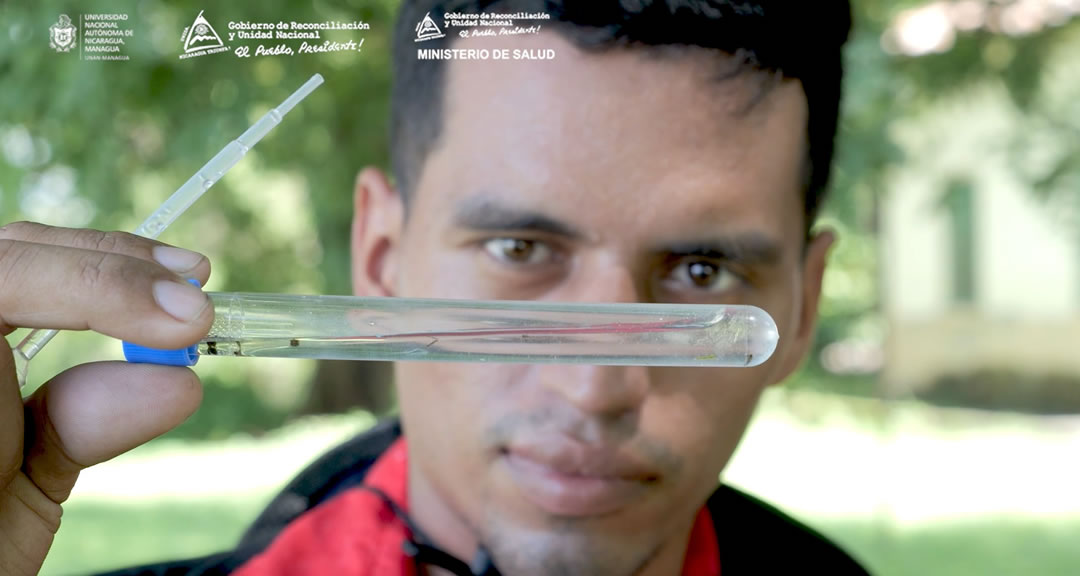 Diplomado en Entomología Médica, programa que aporta al Modelo de Salud en los territorios
