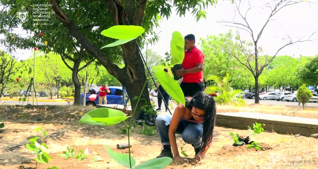 Comunidad universitaria conmemora Día de la Tierra con charlas y jornadas de reforestación