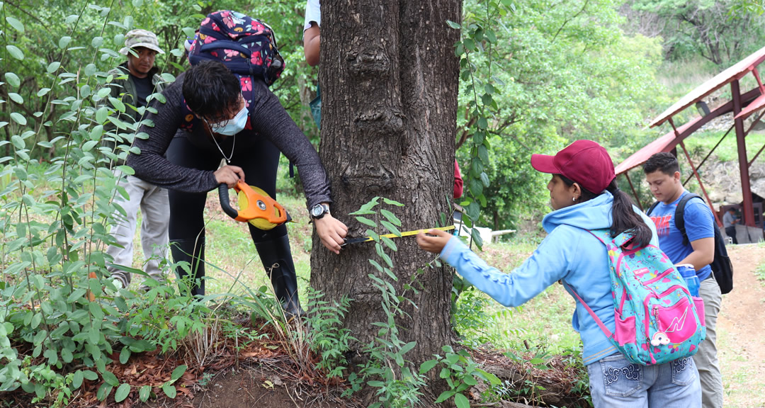 Inician labores para la creación de un arboreto en el Recinto Universitario Rubén Darío