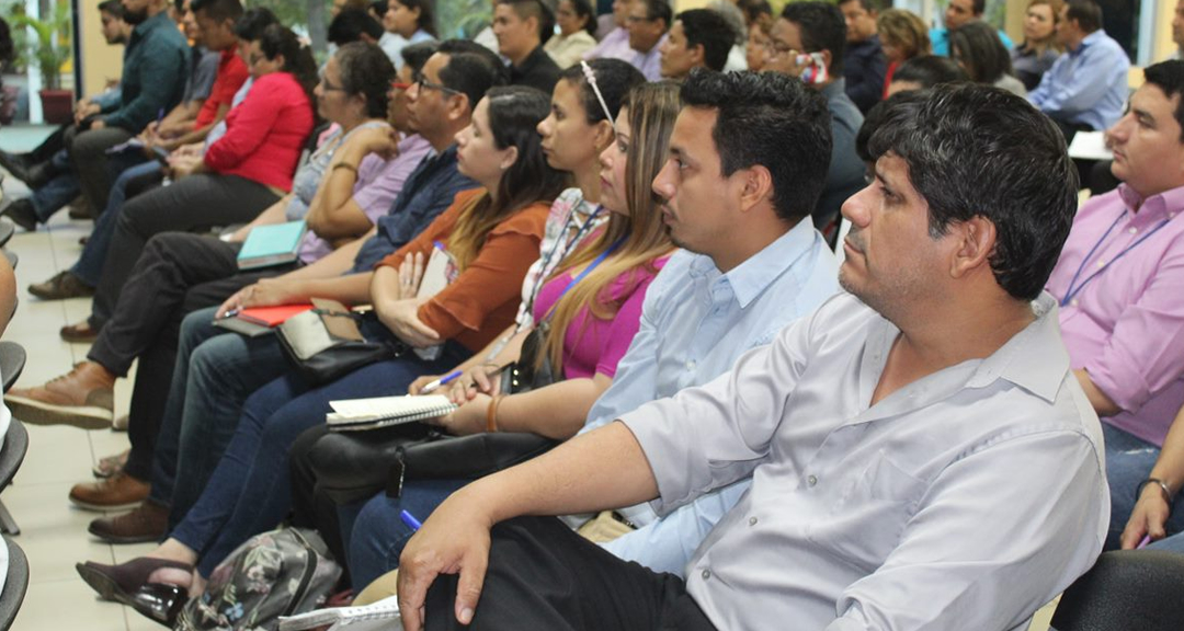 Comunidad universitaria participa en talleres de perfeccionamiento curricular.